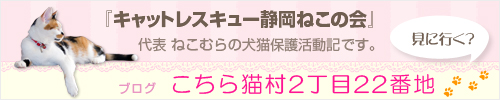 こちら猫村2丁目22番地