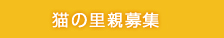 猫の里親募集