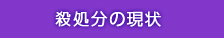 殺処分の現状